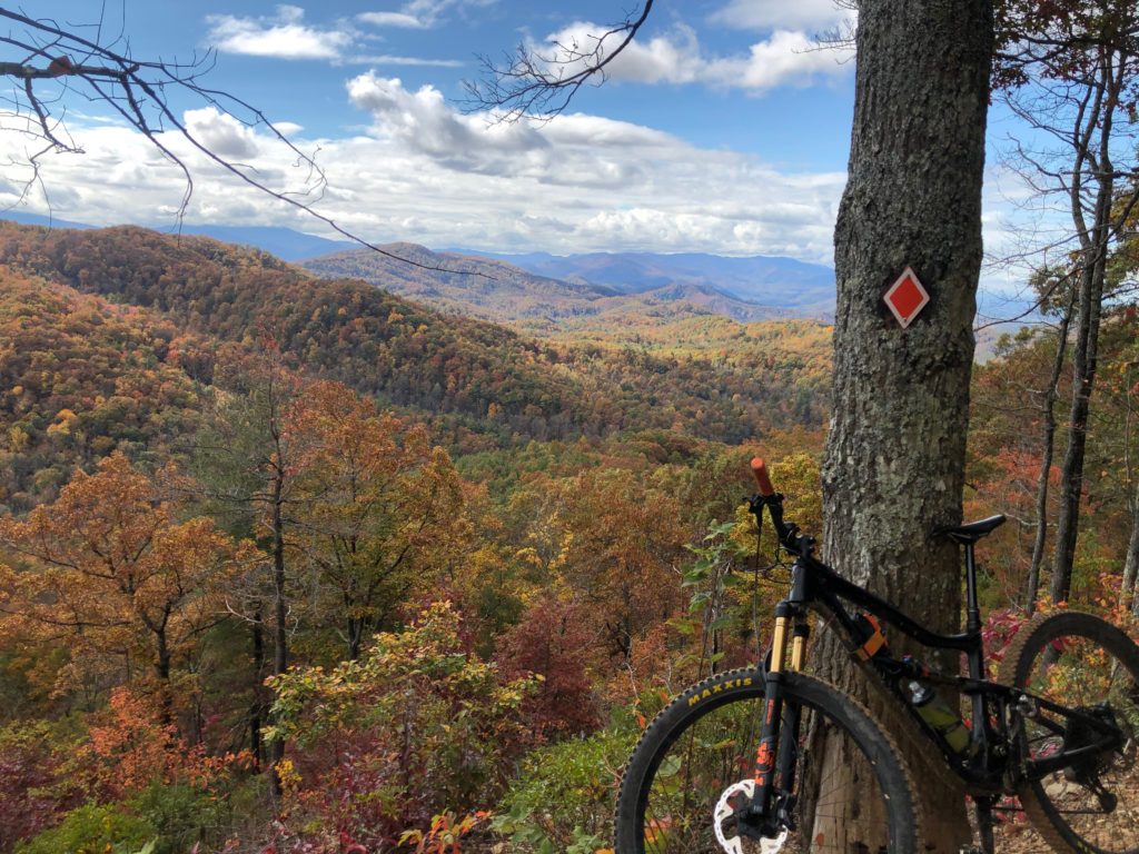 Mountain biking in Johnson City, TN